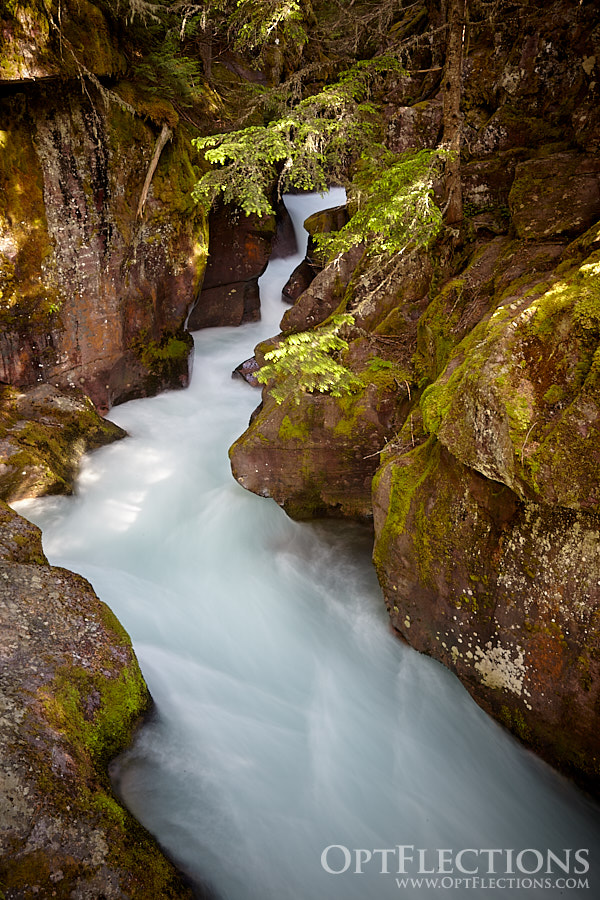 Avalanche Creek