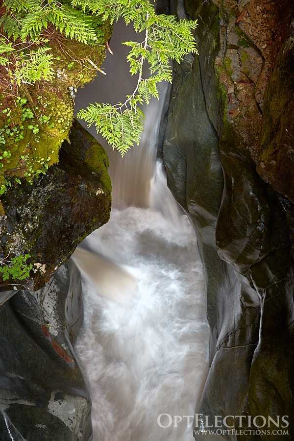 Closeup of Box Canyon