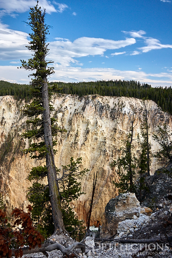 Canyon of the Yellowstone