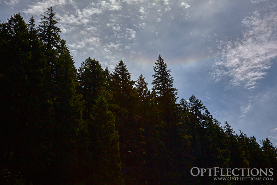 Ice crystals in the sky create a Circumzenith Arc