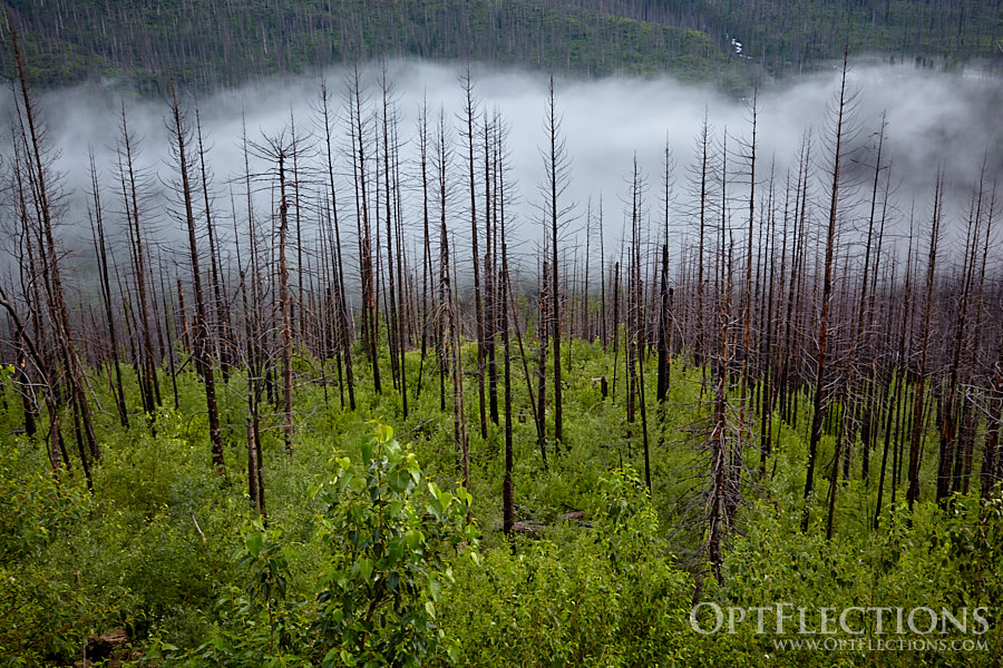 Clouds hang below Heavens Peak