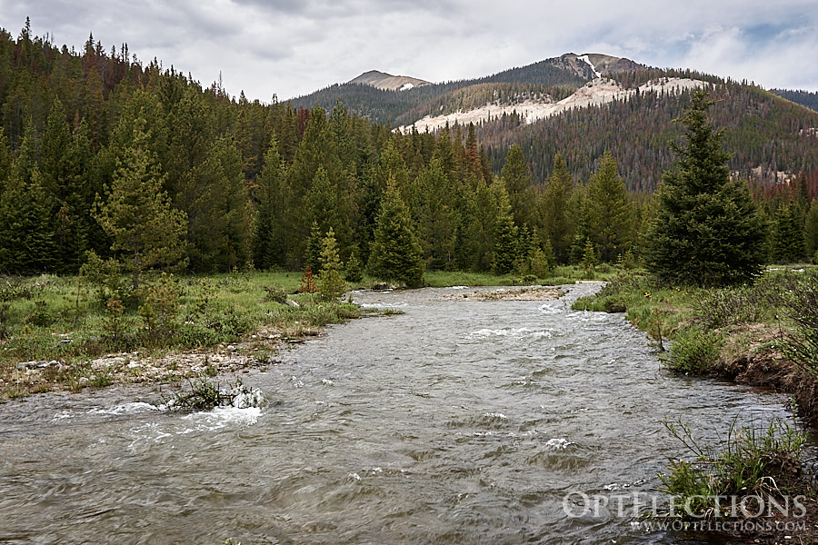 Colorado River at Lulu City