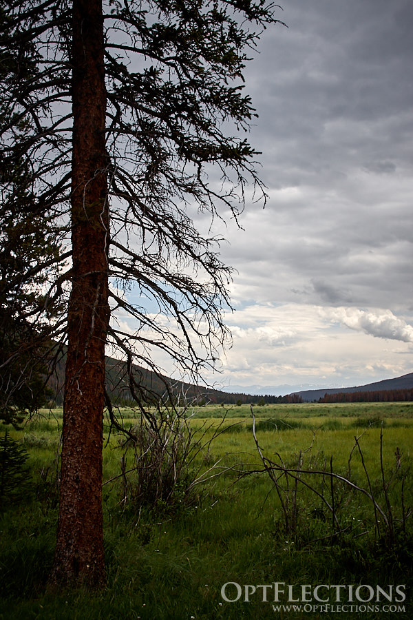 View in Kawuneeche Valley