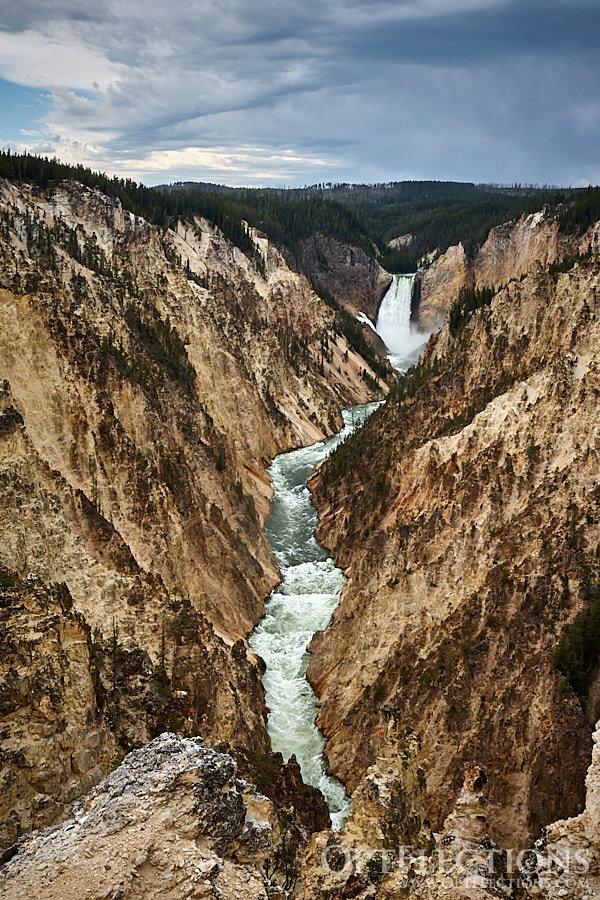 Lower Falls of the Yellowstone River