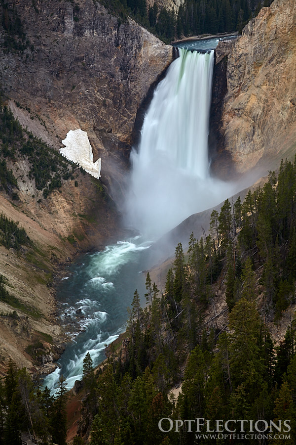 Lower Falls of the Yellowstone River