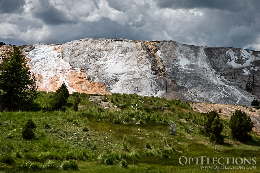 Mammoth Hot Springs
