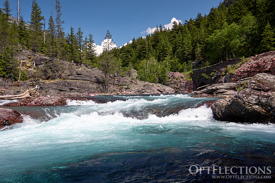 McDonald Creek - Northeast Branch