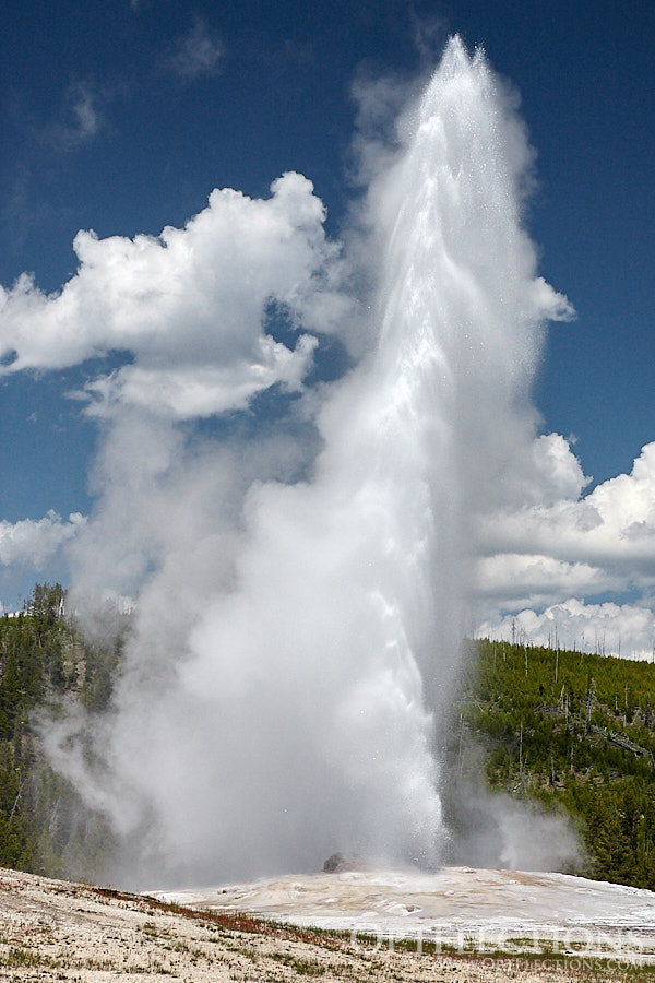 Old Faithful Geyser