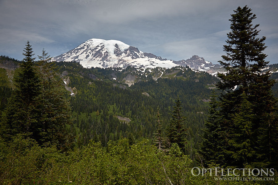 Mt. Rainier