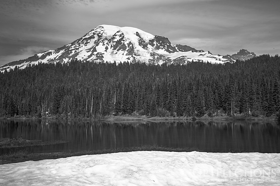 Mt. Rainier from Reflection Lakes - B&W