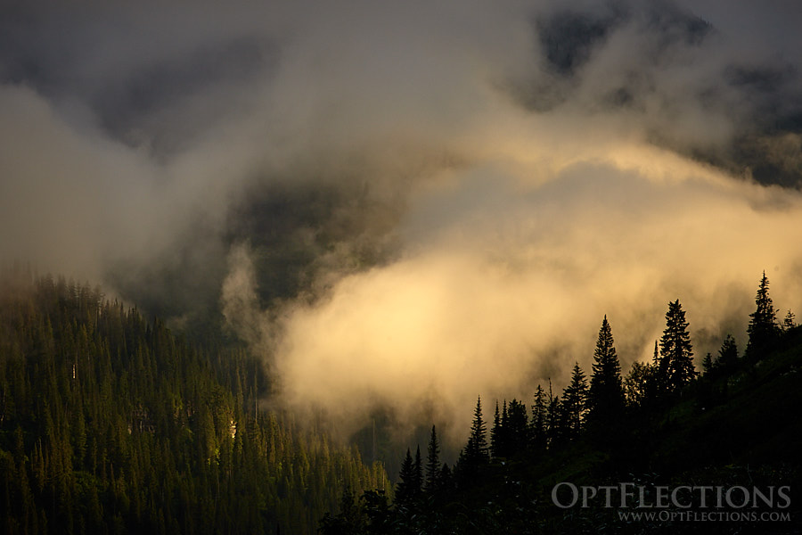 Lower clouds in the valley light up as the sun sets on Glacier