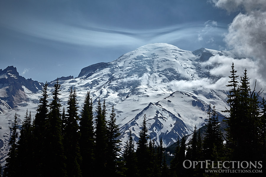 Mt. Rainier from Sunrise