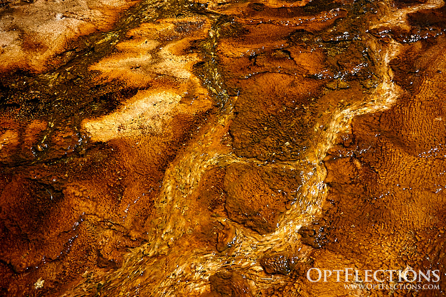 Thermophilic bacteria displays one of its colors in geyser runoff