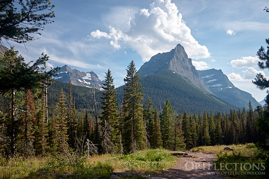 Virginia Falls Trail