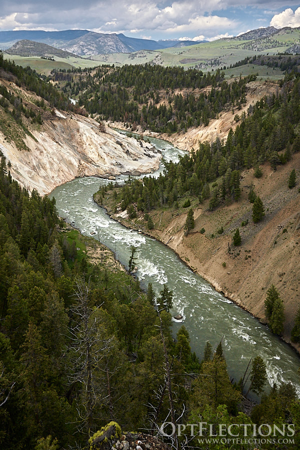 Yellowstone River - North